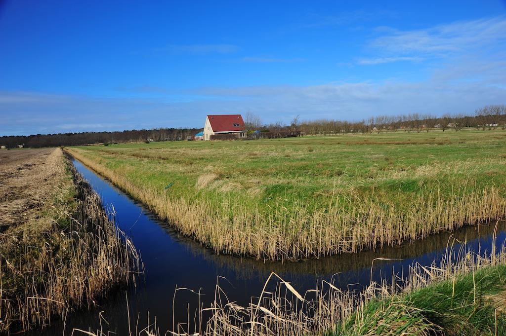 Bed and Breakfast Witte Weelde Texel De Koog  Esterno foto